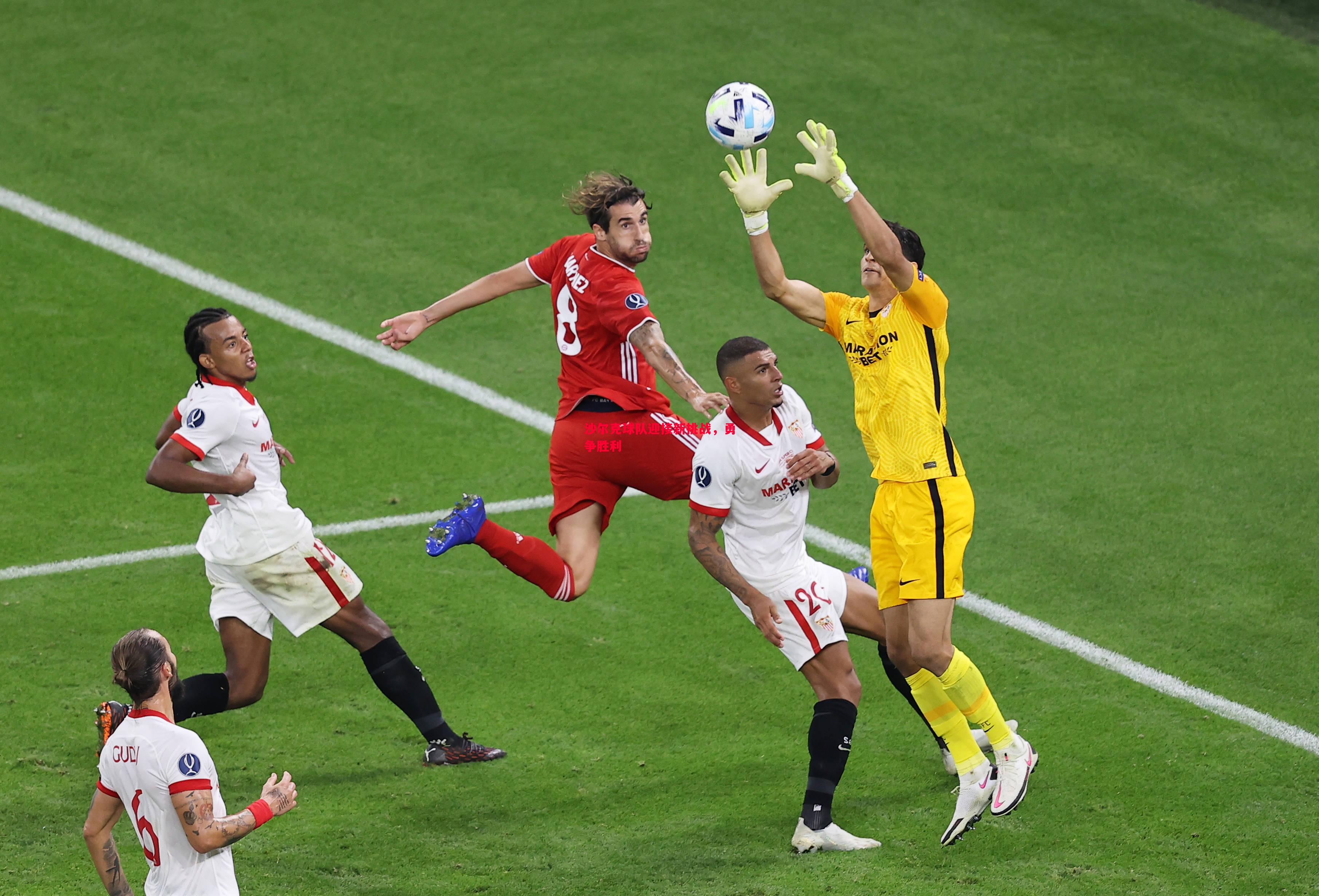 沙尔克球队迎接新挑战,勇争胜利 沙尔克球队迎接新挑战,勇争胜利