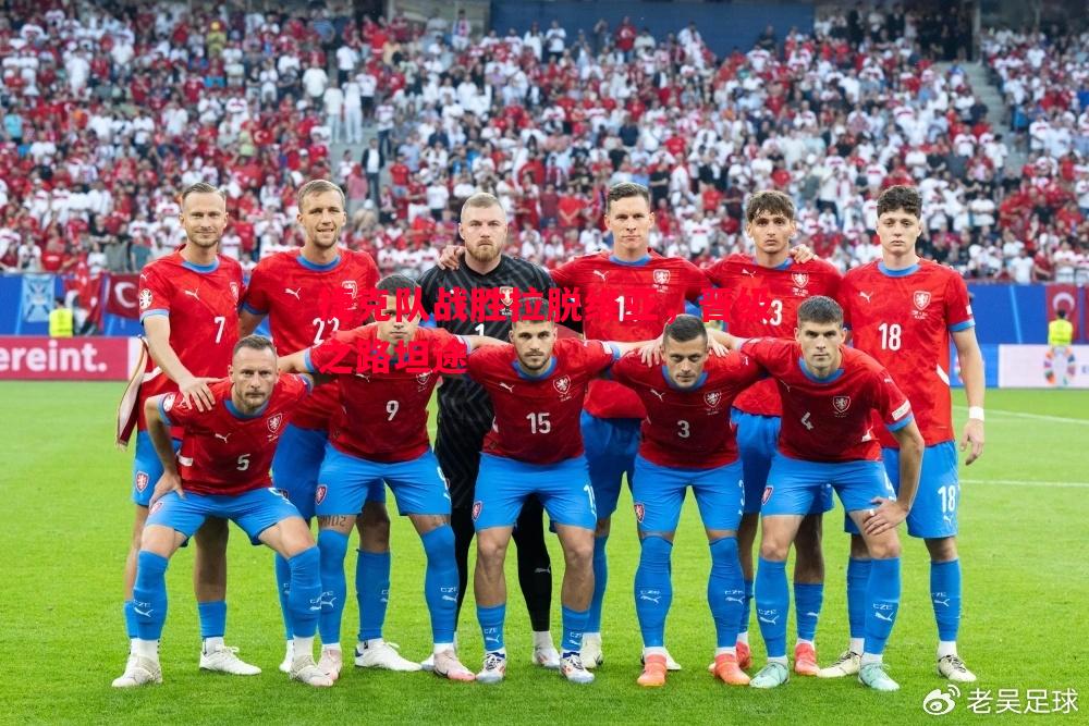 捷克队战胜拉脱维亚,晋级之路坦途 捷克队战胜拉脱维亚,晋级之路坦途