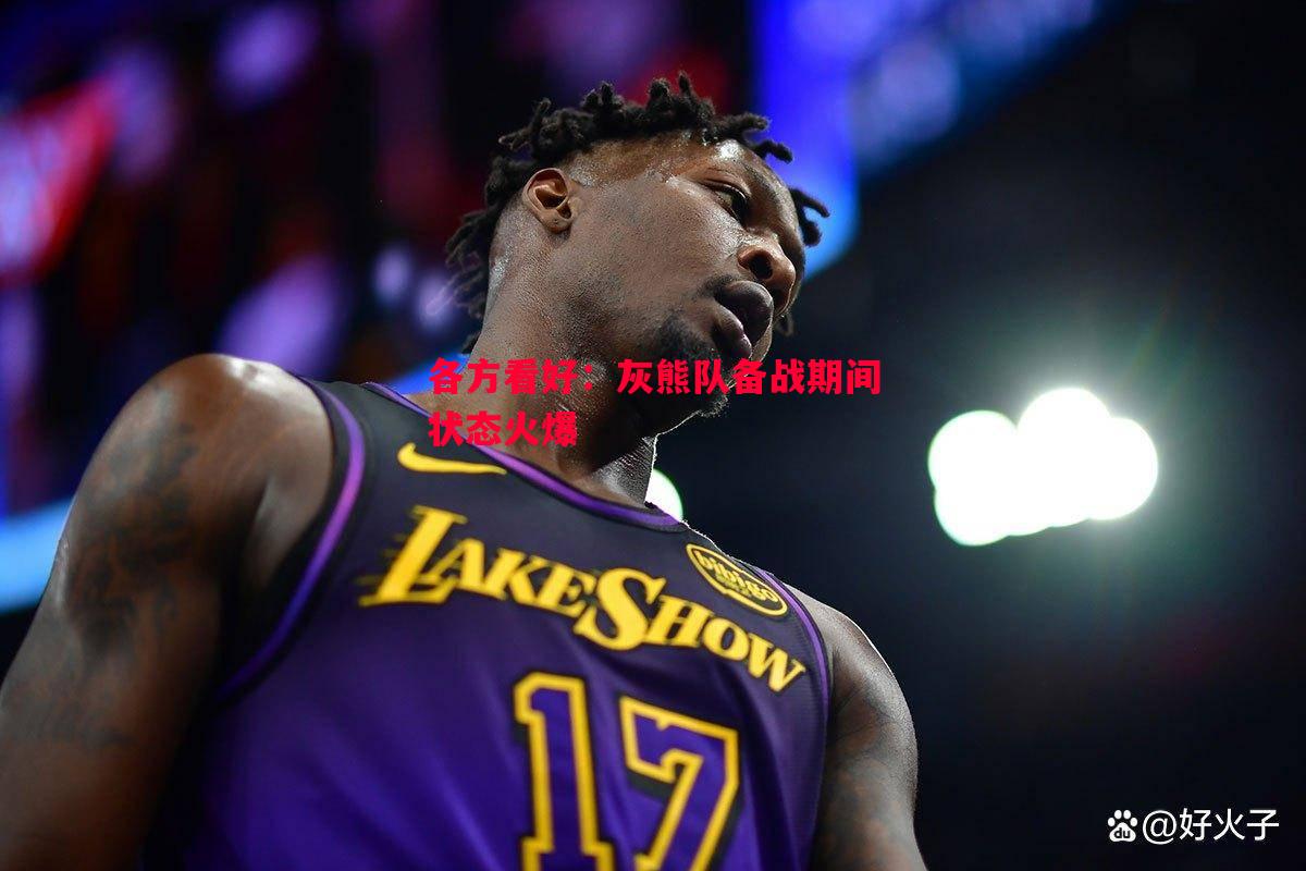 各方看好:灰熊队备战期间状态火爆 各方看好:灰熊队备战期间状态火爆