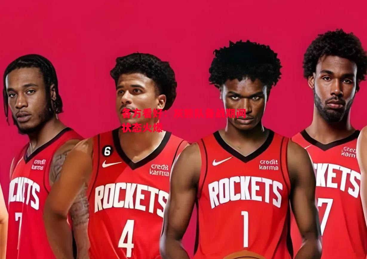 各方看好:灰熊队备战期间状态火爆 各方看好:灰熊队备战期间状态火爆