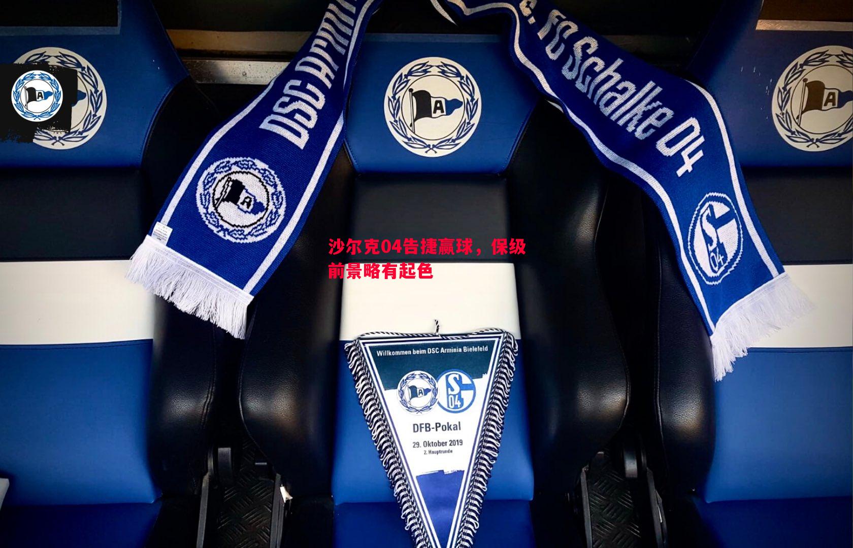 沙尔克04告捷赢球,保级前景略有起色 沙尔克04告捷赢球,保级前景略有起色