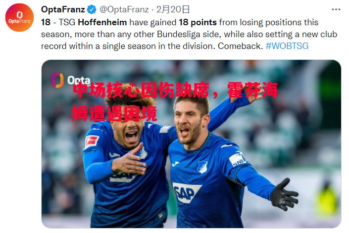 中场核心因伤缺席,霍芬海姆遭遇困境 中场核心因伤缺席,霍芬海姆遭遇困境