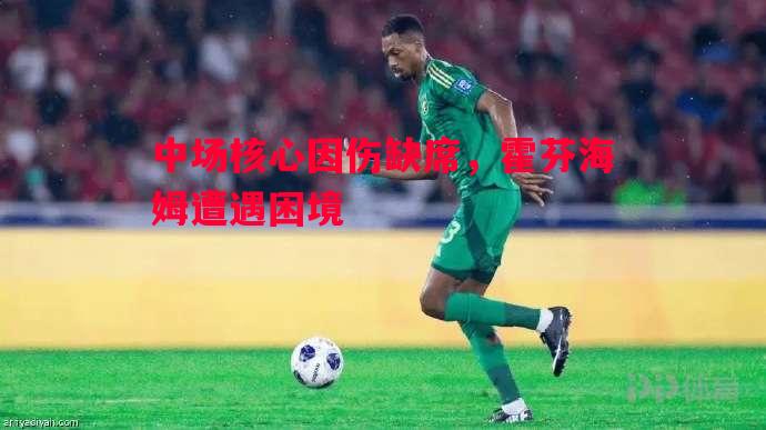 中场核心因伤缺席,霍芬海姆遭遇困境 中场核心因伤缺席,霍芬海姆遭遇困境