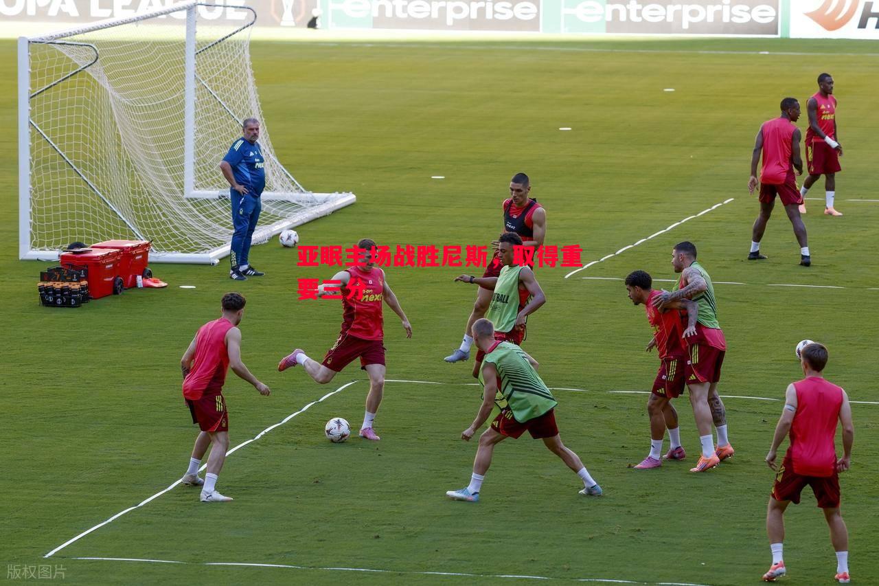 亚眠主场战胜尼斯,取得重要三分 亚眠主场战胜尼斯,取得重要三分