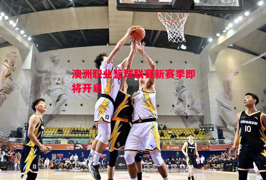 澳洲职业篮球联赛新赛季即将开启 澳洲职业篮球联赛新赛季即将开启