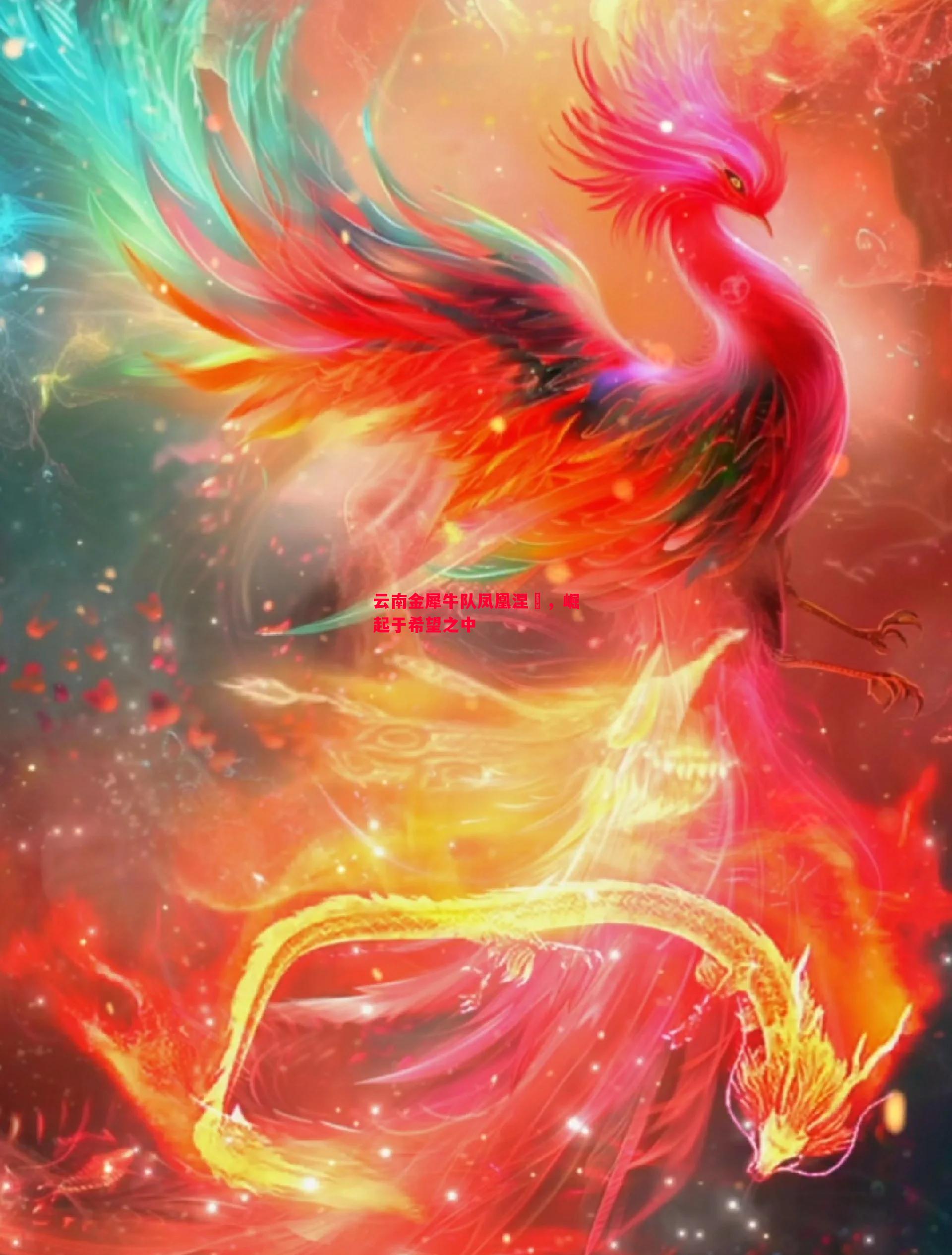 云南金犀牛队凤凰涅槃,崛起于希望之中 云南金犀牛队凤凰涅槃,崛起于希望之中