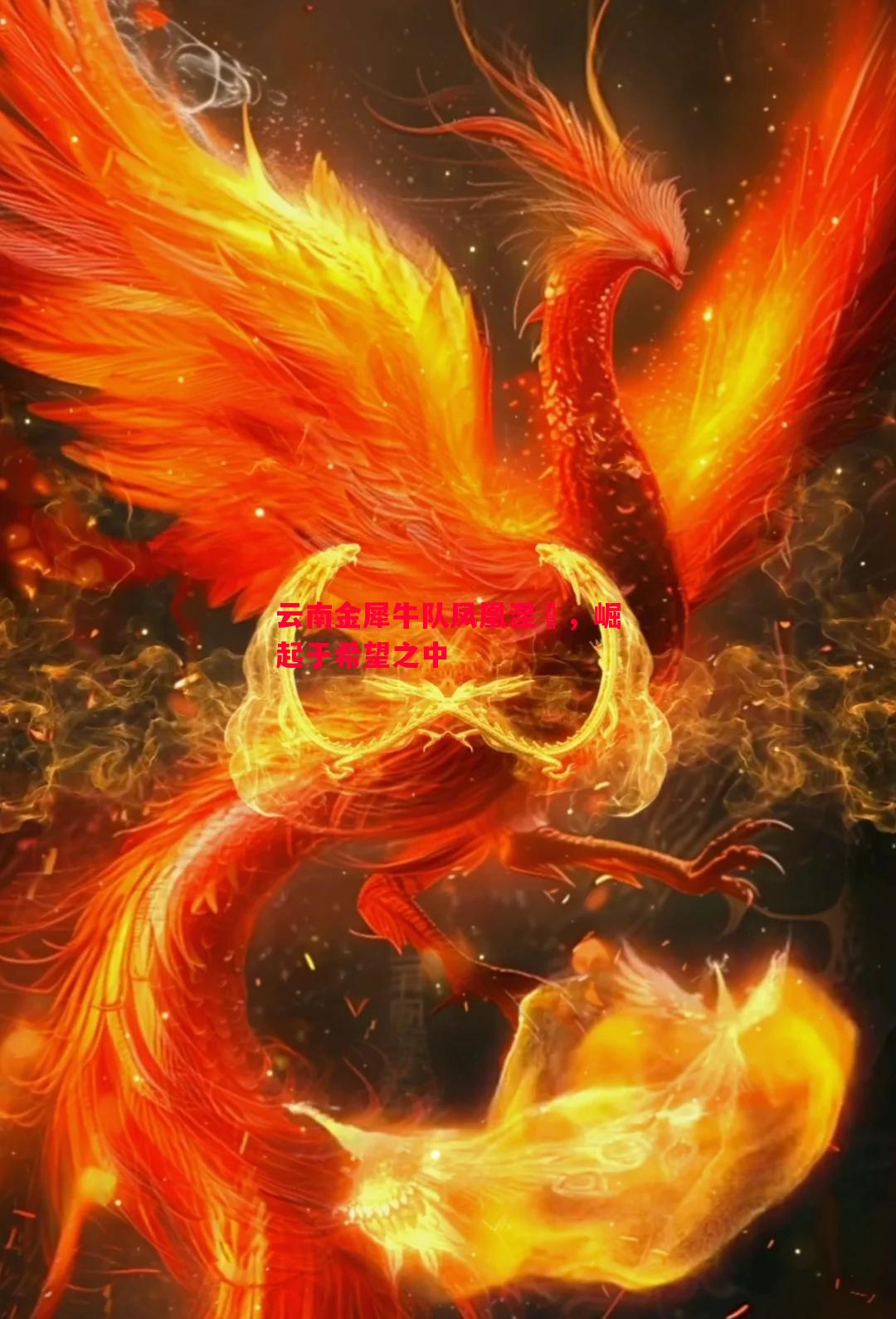 云南金犀牛队凤凰涅槃,崛起于希望之中 云南金犀牛队凤凰涅槃,崛起于希望之中