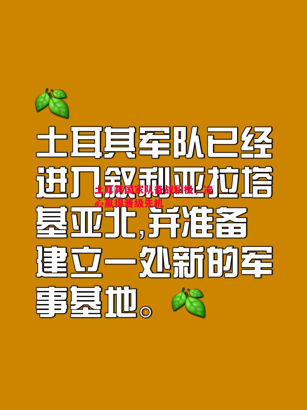 土耳其国家队备战积极,决心赢得晋级先机 土耳其国家队备战积极,决心赢得晋级先机