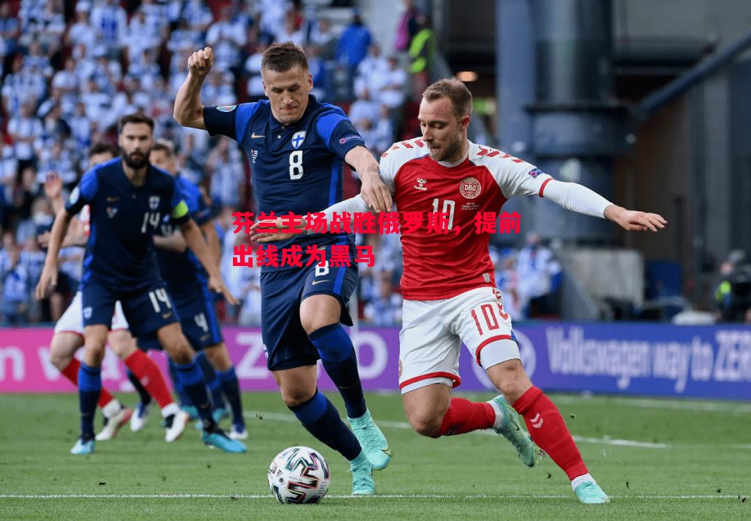 芬兰主场战胜俄罗斯,提前出线成为黑马 芬兰主场战胜俄罗斯,提前出线成为黑马