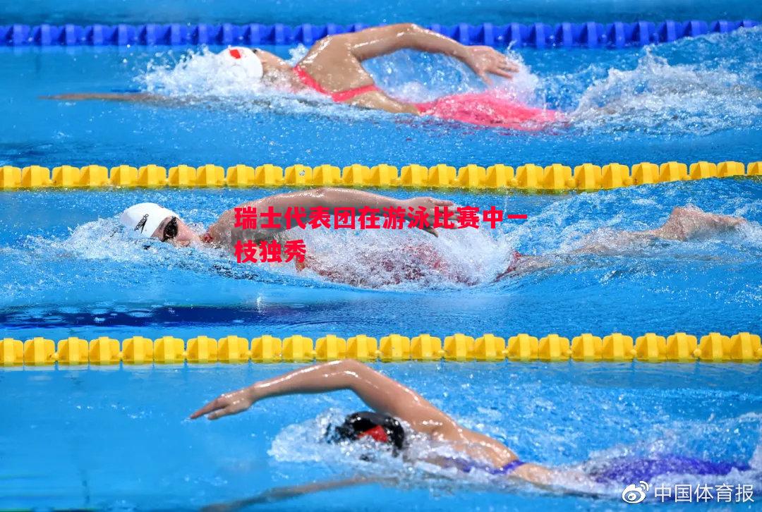 瑞士代表团在游泳比赛中一枝独秀 瑞士代表团在游泳比赛中一枝独秀