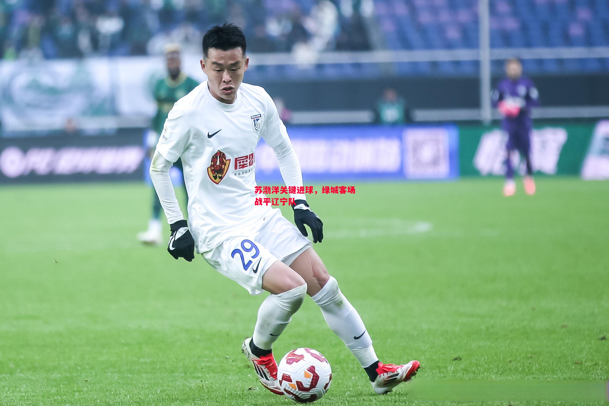 苏渤洋关键进球,绿城客场战平辽宁队 苏渤洋关键进球,绿城客场战平辽宁队