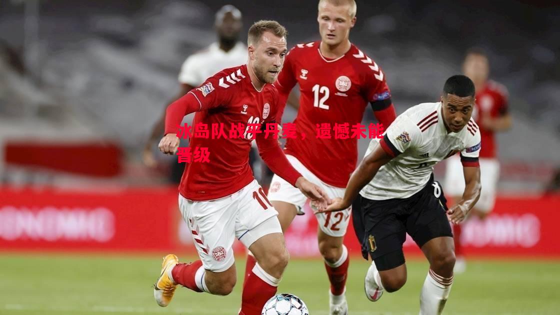 冰岛队战平丹麦,遗憾未能晋级 冰岛队战平丹麦,遗憾未能晋级