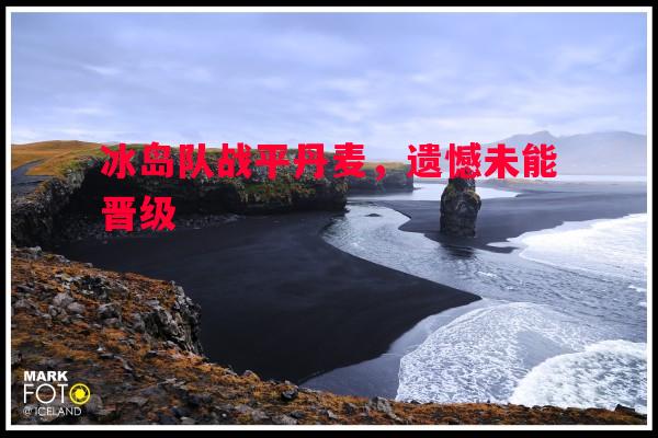 冰岛队战平丹麦,遗憾未能晋级 冰岛队战平丹麦,遗憾未能晋级
