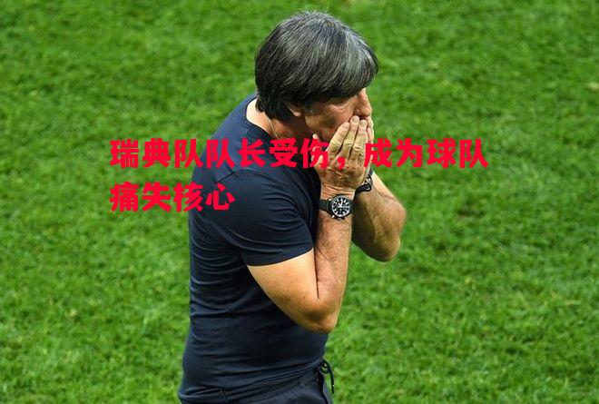 瑞典队队长受伤，成为球队痛失核心