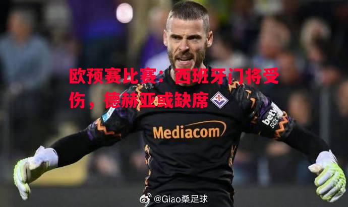 欧预赛比赛:西班牙门将受伤,德赫亚或缺席 欧预赛比赛:西班牙门将受伤,德赫亚或缺席