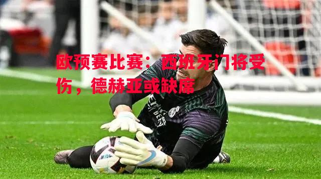 欧预赛比赛:西班牙门将受伤,德赫亚或缺席 欧预赛比赛:西班牙门将受伤,德赫亚或缺席